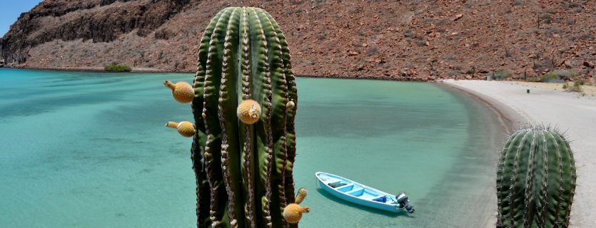 seguro de viaje para viajar a México