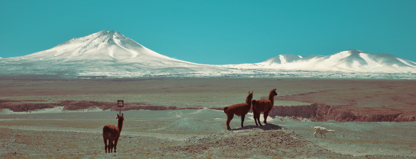 Seguro de viaje a Chile