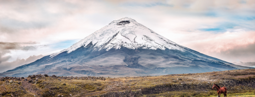 Seguro médico a Ecuador