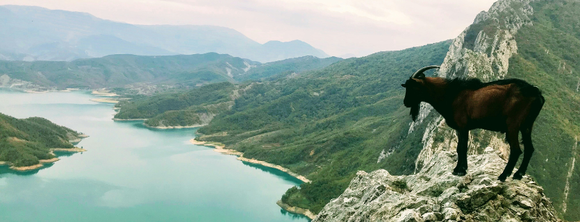 seguro de viaje para viajar a Albania
