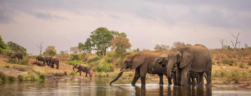 seguro m&eacute;dico Sud&aacute;frica