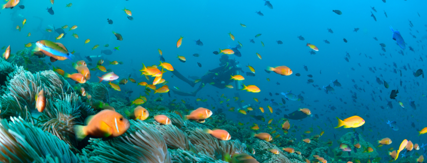 seguro de viaje a Maldivas