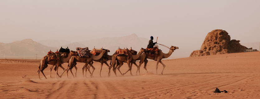 Seguro de viaje a Jordania