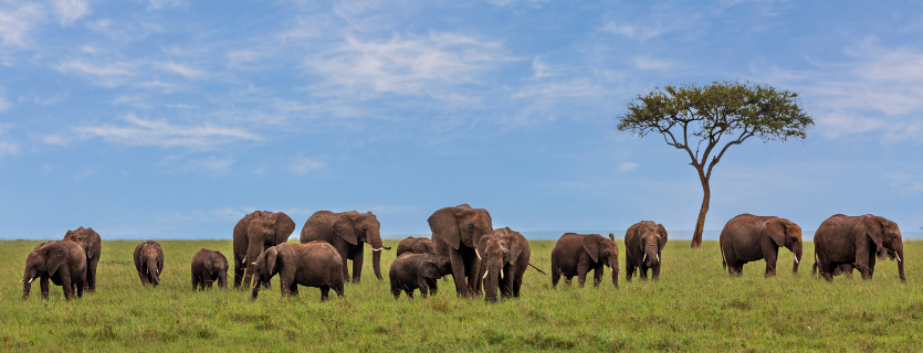 seguro de viaje a Kenia