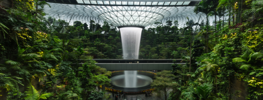 seguro médico para Singapur