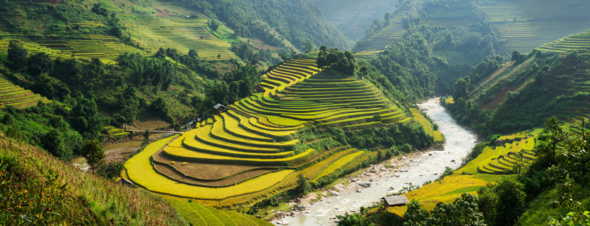 Seguro de viaje para el Sudeste Asi&aacute;tico