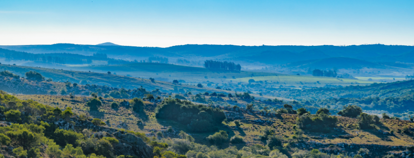 Seguro de viaje para el Sudeste Asi&aacute;tico